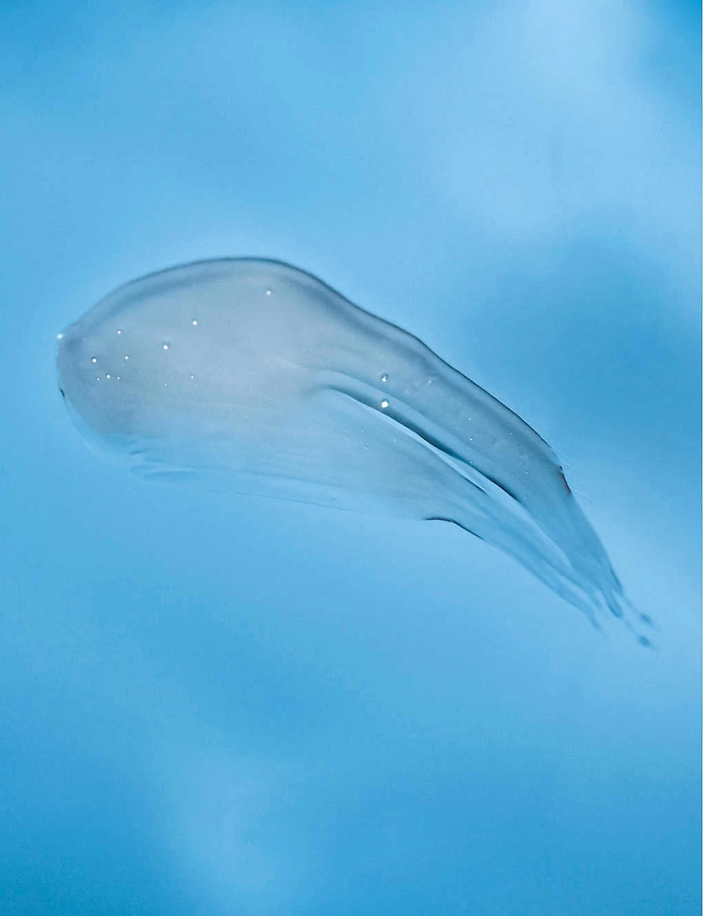 Atlantis Moisturising B5 Shampoo 251ml - Image 2