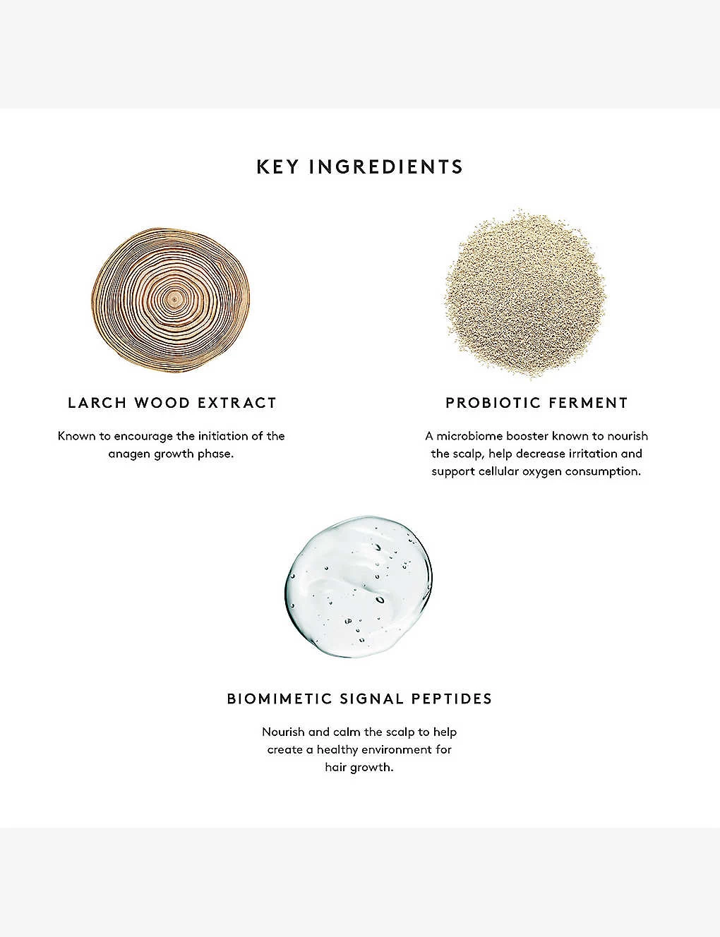 VIRTUE Flourish Hair Rejuvenation Treatment Set - Image 5